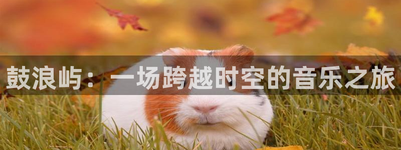 鼓浪屿：一场跨越时空的音乐之旅