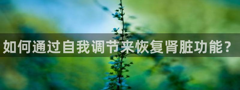 如何通过自我调节来恢复肾脏功能？